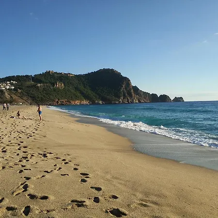 20 Cleopatra Select アパート アランヤ