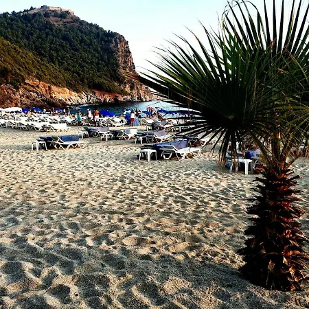 20 Cleopatra Select Apartment